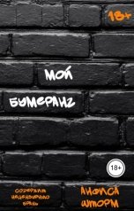 обложка книги Анфиса Шторм "Мой бумеранг"