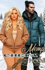обложка книги Ария Шерман "Метр снега до неба"