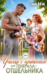 обложка книги Таня Мэй "Училка с приданным для генерала-отшельника"