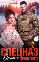 обложка книги Саша Бушмина "Спецназ. Осколки прошлого"