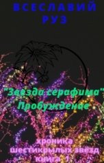 обложка книги Всеславий Руз ""Звезда Серафима" Пробуждение"