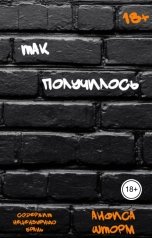обложка книги Анфиса Шторм "Так получилось"