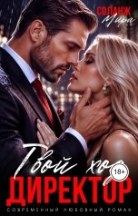 обложка книги Мира Соланж "Твой ход, директор"