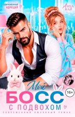 обложка книги Анна Кай "Мой БОСС с подвохом"