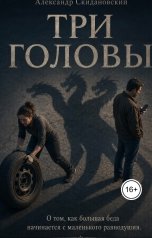 обложка книги Александр Скидановский "Три головы"