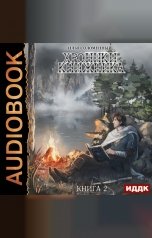 обложка книги Соломенный Илья "Хроники Книжника. Книга 2. Странник"