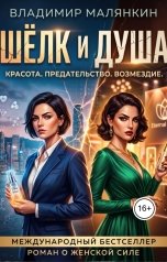 обложка книги В. Малянкин "Шелк и душа"