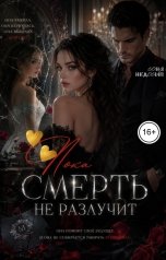 обложка книги Соня Недосып "Пока смерть не разлучит"