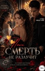 обложка книги Соня Недосып "Пока смерть не разлучит"