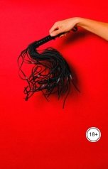 обложка книги Виктория Бородинова "БДСМ-контракт: я принимаю условия"