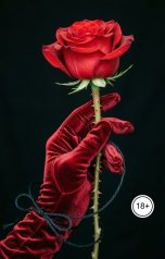 обложка книги Victoria Virel "37 правил Доминирования"