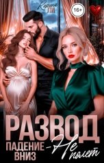 обложка книги Карина Ли "Развод. Падение вниз - не полет"