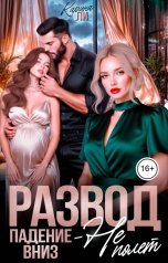 обложка книги Карина Ли "Развод. Падение вниз - не полет"