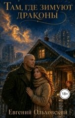 обложка книги Евгений Ольховский "Там, где зимуют Драконы"