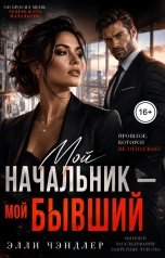 обложка книги Элли Чэндлер "Мой начальник - мой БЫВШИЙ"