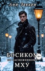 обложка книги Ани Закари "Босиком по заснеженному мху"