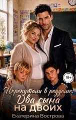 обложка книги Екатерина Вострова "Перепутали в роддоме. Два сына на двоих"