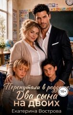 обложка книги Екатерина Вострова "Перепутали в роддоме. Два сына на двоих"