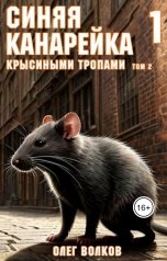 обложка книги Волков Олег "Крысиными тропами Том II"