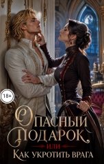 обложка книги Лера Шторм "Опасный подарок, или Как укротить врага"