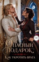 обложка книги Лера Шторм "Опасный подарок, или Как укротить врага"