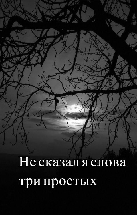 Обложка книги Юрий Ульяновский Не сказал я слова три простых