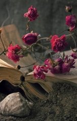 обложка книги Юрий Ульяновский "Моя муза"