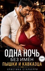 обложка книги Кристина Старберри "Одна ночь без имён. Пышки и кавказца"