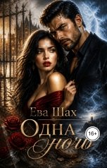 обложка книги Ева Шах "Одна ночь"