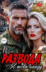 обложка книги Эвелина Рей "После развода. Я тебя найду"