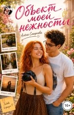 обложка книги Алёна Смирнова "Объект моей нежности"