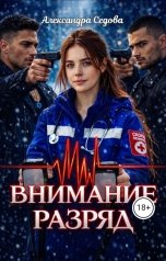 обложка книги Александра Седова "Внимание, разряд"