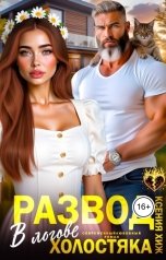 обложка книги Ксения Хиж "Развод. В логове холостяка"