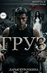обложка книги Дарья Курочкина "Груз 300"