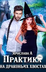 обложка книги Ярослава А "Практика на драконьих хвостах"