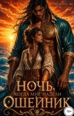 обложка книги Тея Белла "Ночь, когда мне надели ошейник"