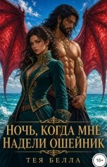 обложка книги Тея Белла "Ночь, когда мне надели ошейник"