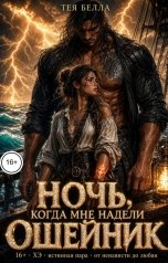 обложка книги Тея Белла "Ночь, когда мне надели ошейник"