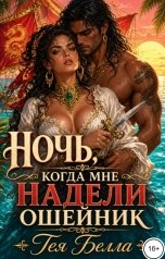 обложка книги Тея Белла "Ночь, когда мне надели ошейник"
