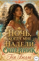 обложка книги Тея Белла "Ночь, когда мне надели ошейник"