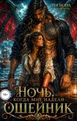 обложка книги Тея Белла "Ночь, когда мне надели ошейник"
