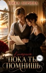 обложка книги Ника Зорина "Пока ты помнишь"
