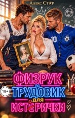 обложка книги Алекс Стар "Физрук и трудовик для исторички"