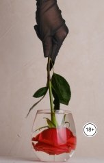 обложка книги Лорд Вейн "Жёсткая эротика: испытание болью"