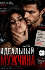 обложка книги Соня Недосып "Идеальный мужчина"