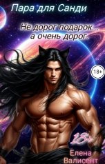 обложка книги Елена Валисент "Пара для Санди. Не дорог подарок... а очень дорог."