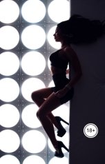 обложка книги Victoria Virel "Спутница Господина"