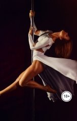 обложка книги Victoria Virel "Королева пилона и поклонники"
