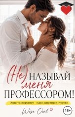 обложка книги Wiseowl "(Не) называй меня профессором!"