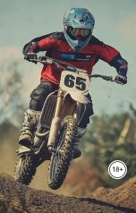 обложка книги Лорд Вейн "Не притворяйся, что тебе не хочется"